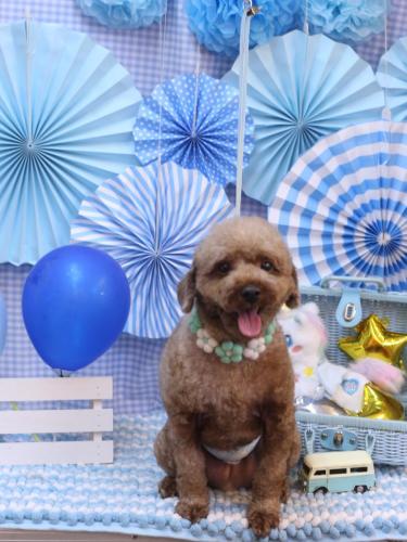 20231130くぅくん